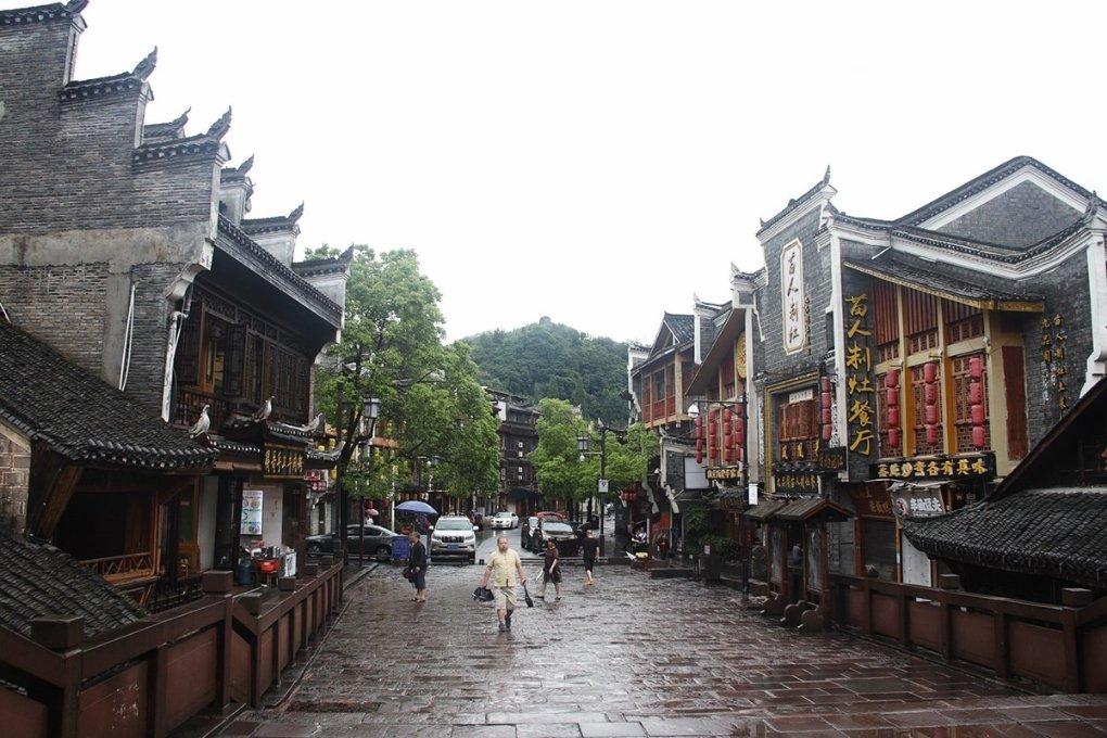 绿叶花卉叶子发黄怎么办游戏画面